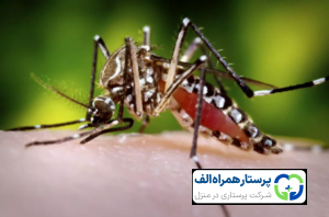 پرستار همراه الف